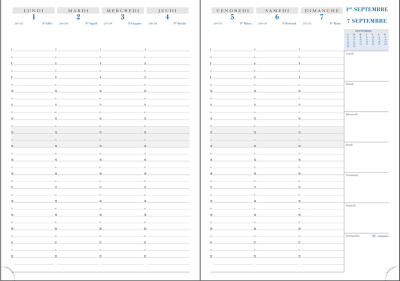 EXACOMPTA Agenda de bureau SAD 29 NIL, 2025/2026, 16 mois