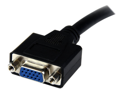 Startech : CABLE ADAPTATEUR DVI VERS VGA de 20 CM - MALE / FEMELLE