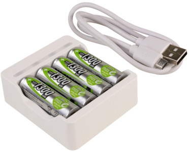 ANSMANN Chargeur de piles Basic IV, 4x piles AA 1.300 mAh