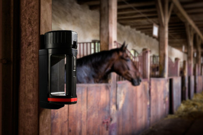 ANSMANN Projecteur portable LED HS20R Pro, noir/rouge