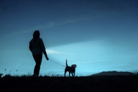 ANSMANN Lampe de poche LED, Daily Use 50B, argent/noir ANSMANN Lampe de poche LED, Daily Use 50B, argent/noir