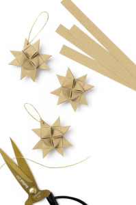 folia Bandes de papier NATURE pour mini étoiles de Froebel