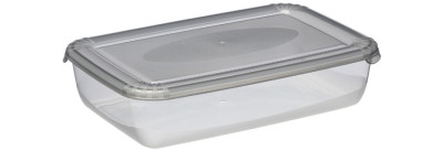 plast team Boîte de congélation Polar, 0,9 litre, bleu