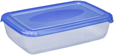 plast team Boîte de congélation Polar, 1,9 litre, bleu