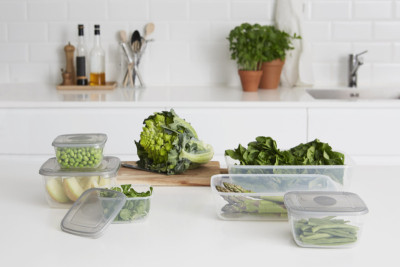 plast team Boîte de congélation Polar, 3,0 litres, gris