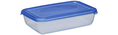 plast team Boîte de congélation Polar, 3,0 litres, bleu