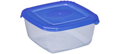 plast team Boîte de congélation Polar, 0,46 litre, gris