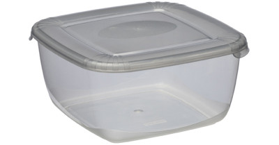 plast team Boîte de congélation Polar, 0,46 litre, gris