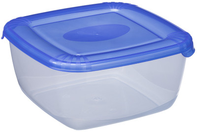 plast team Boîte de congélation Polar, 0,46 litre, gris
