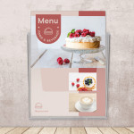 EUROPEL Porte-brochures mural, format long, transparent EUROPEL Porte-brochures mural, format long, transparent