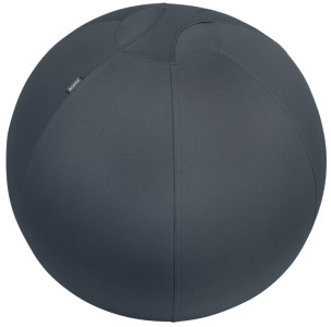 LEITZ Ballon d'assise Ergo Cosy, diamètre: 650 mm, jaune