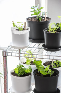 orthex Pot de fleurs CULTIVATE, diamètre : 240 mm, gris