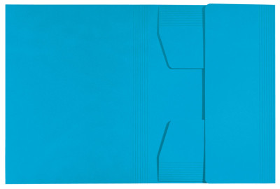 LEITZ Chemise-trieur, A4, carton de 430 g/m2, noir