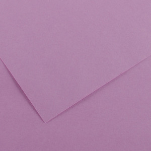CANSON Papier Vivaldi, 500 x 650 mm, 240 g/m2, cuir