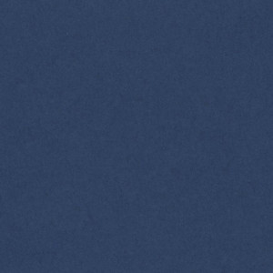 CANSON Papier Vivaldi, 500 x 650 mm, 240 g/m2, cuir