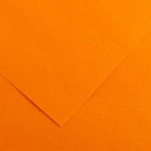 CANSON Papier Vivaldi, 500 x 650 mm, 240 g/m2, cuir