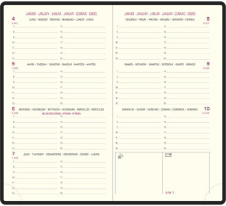 EXACOMPTA Agenda de poche Eurotime 16, 2025, Cassandra