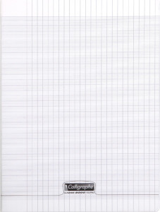 Calligraphe Cahier 8000 POLYPRO, A4, transparent, assorti