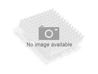 AMD : RYZEN 5 PRO 7645 5.30GHZ 6 CORE SKT AM5 40Mo 65W MPK WRAITH (ryzen5)