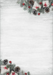 sigel Papier à motif de Noël 