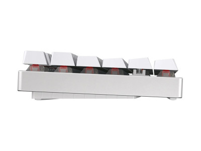 Cherry : CHERRY MX 8.2 TKL WIRELESS BT FRANCE WHITE