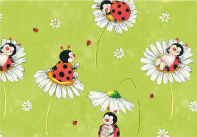 SUSY CARD Papier cadeau 