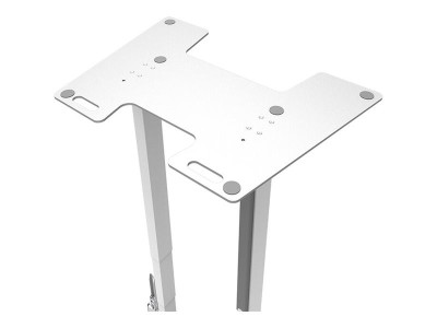 Neomounts : NEOMOUNTS BY NEWSTAR SOLID FLOOR PLATE pour WL55 pour L55-875WH1