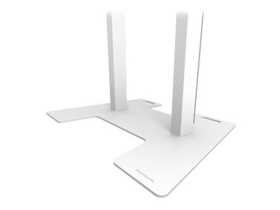 Neomounts : NEOMOUNTS BY NEWSTAR SOLID FLOOR PLATE pour WL55 pour L55-875WH1