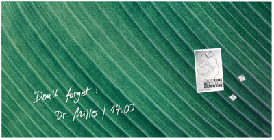 sigel Glas-Magnettafel Artverum Design Palm Leaf, (B)910 mm
