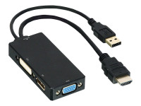 Adaptateur HDMI Mâle Vers DisplayPort 1.2 Femelle 4K Avec USB - Conversion Vidéo PC