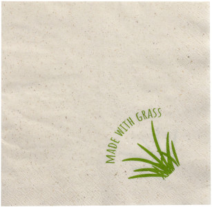 PAPSTAR Serviettes de table, 300 x 300 mm, naturel