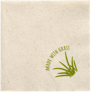 PAPSTAR Serviettes coktail, 240 x 240 mm, naturel