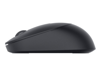 Dell : FULL-SIZE WIRELESS MOUSE MS300 MS300