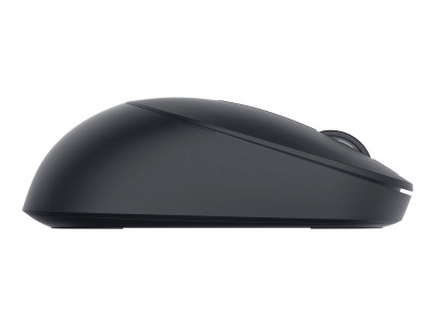 Dell : FULL-SIZE WIRELESS MOUSE MS300 MS300