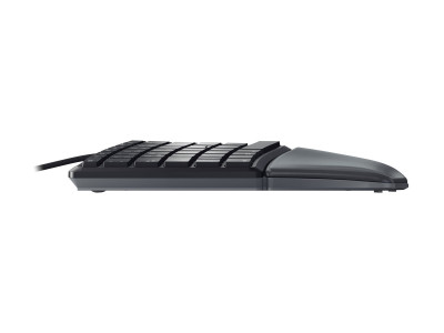 Cherry : CHERRY KC 4500 ERGO SWISS