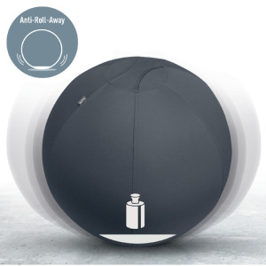 LEITZ Ballon d'assise Ergo Active, diamètre: 650 mm, gris