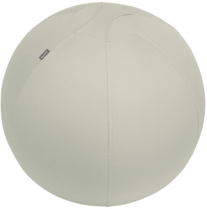 LEITZ Ballon d'assise Ergo Active, diamètre: 650 mm, gris
