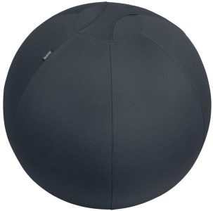 LEITZ Ballon d'assise Ergo Active, diamètre: 650 mm, gris