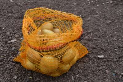 dm-folien Sac à pommes de terre/à fruits, 12,5 kg, jaune