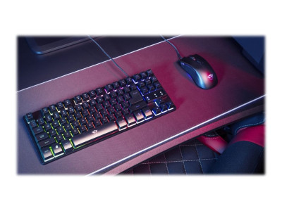 Trust : THADO TKL ILLUMINATED GAMING KEYBOARD GXT833 BQ 2