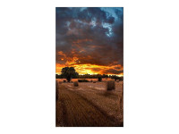 Samsung : VM46B-U 46IN 1920X1080 16:9 8MS 1200:1 HDMI/DVI Samsung : VM46B-U 46IN 1920X1080 16:9 8MS 1200:1 HDMI/DVI