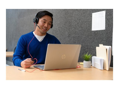 Poly : POLY BW 8225 STEREO -M USB-C HS +USB-C/A