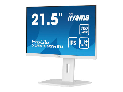 Iiyama : XUB2292HSU-W6 21.5IN IPS FHD 250CD/HDMI/DP/4USB/HAS avec HITE