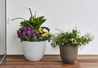 tera Pot de fleurs 