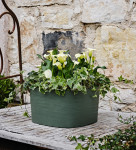 tera Bac à plantes tera Bac à plantes