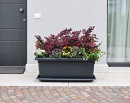 tera Jardinière  tera Jardinière