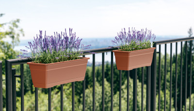 tera Kit de jardinière 