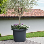 tera Jardinière tera Jardinière