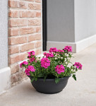 tera Bol à fleurs tera Bol à fleurs