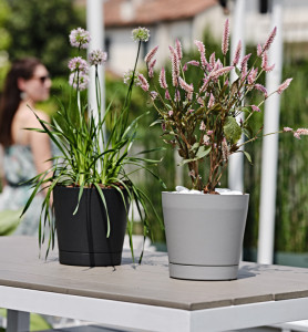 tera Pot de fleurs 